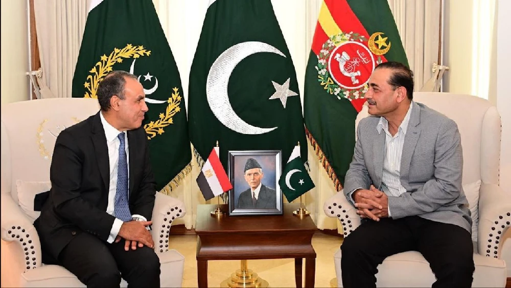 Field Marshal, Egyptian foreign minister review defense ties, regional security